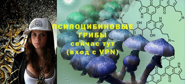 не бодяженный Аркадак