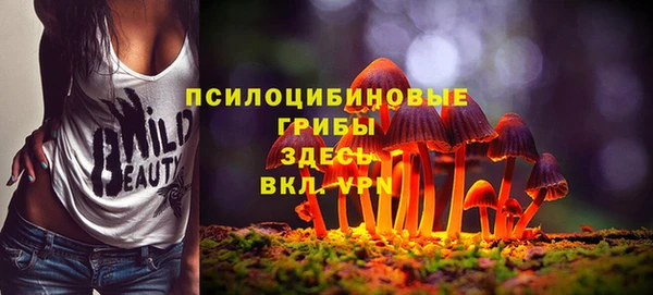 не бодяженный Аркадак