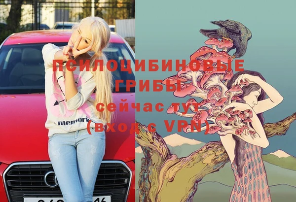 Альфа ПВП Армянск