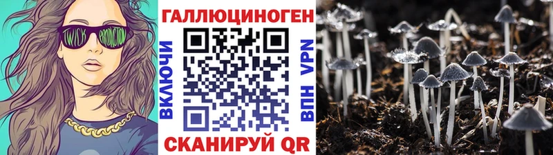 купить наркоту  Рославль  Псилоцибиновые грибы MAGIC MUSHROOMS 